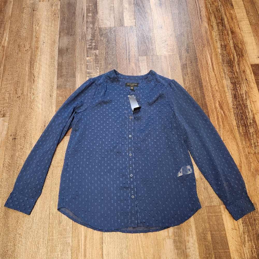 Banana Republic Classic Fit Sheer Blouse